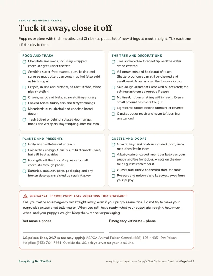 Page 3: a checklist of holiday hazards to tuck away, with an emergency box for vet phone numbers