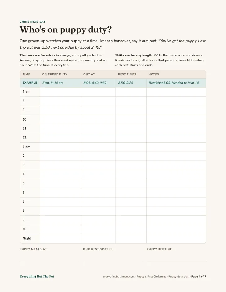 Page 4: an hour-by-hour Christmas Day puppy-duty planner with an example row