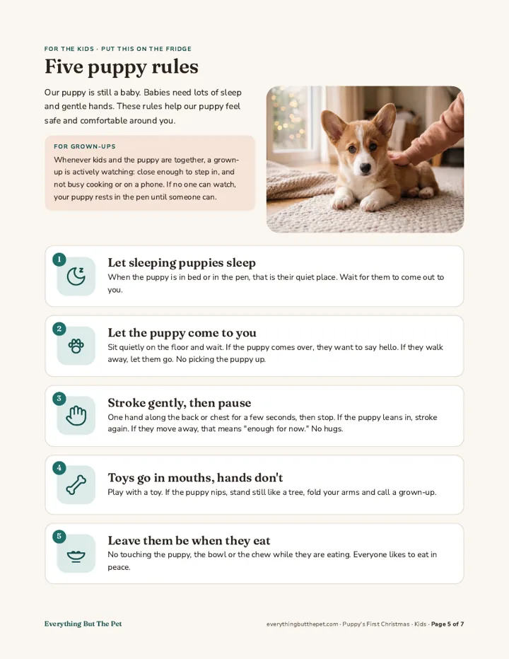 Page 5: five puppy rules for kids, each with a simple picture